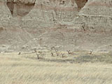 Badlands